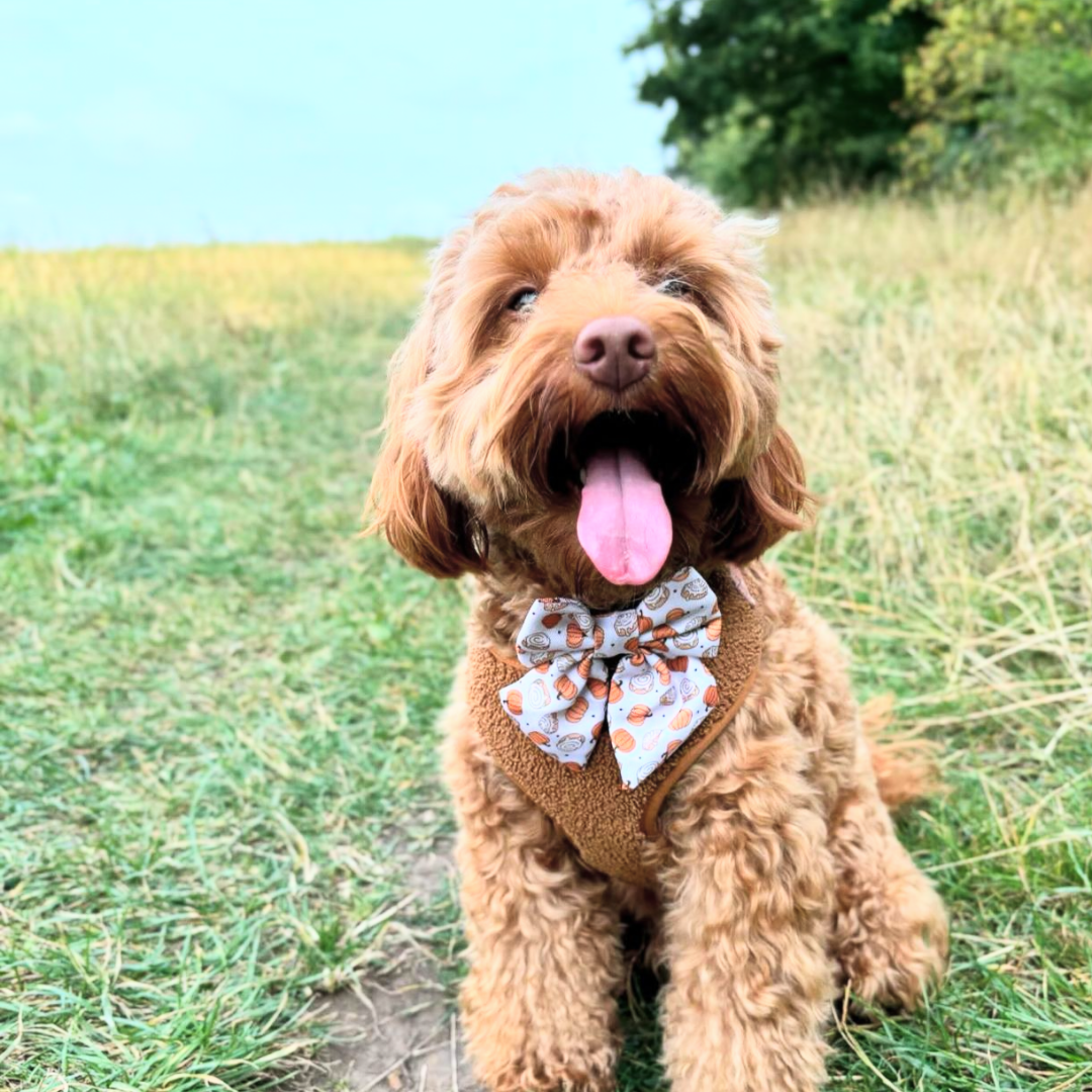 Cinnamon Buns Sailor Bow Tie