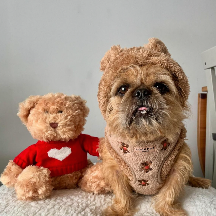 Theo Embroidered Teddy Adjustable Neck Harness