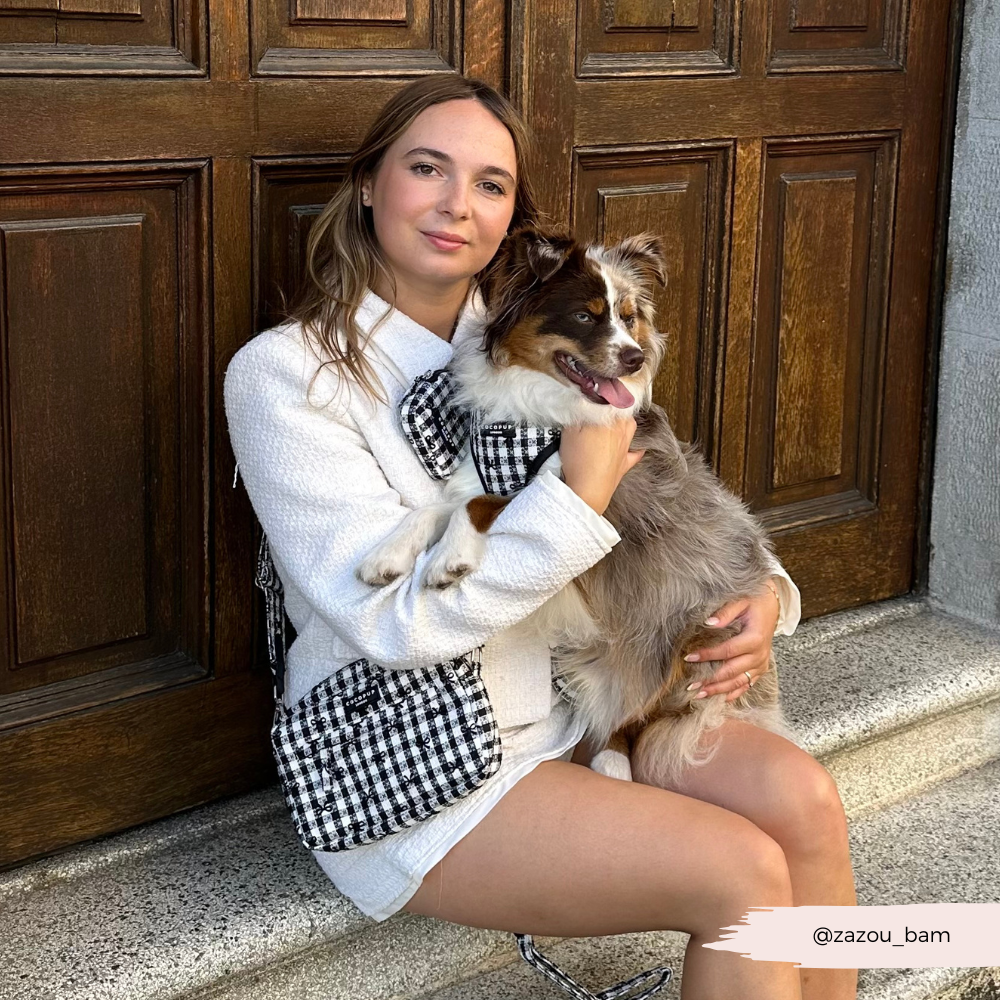 Pup in Paris Adjustable Neck HARNESS