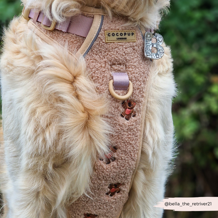 Explore Harness - Theo Embroidered Teddy