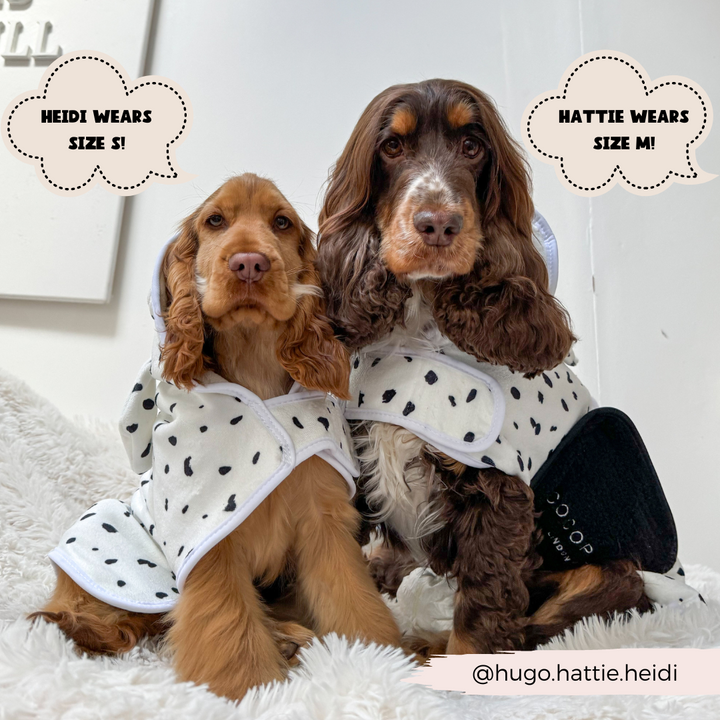 Two dogs in white and black spotted Dalmatian Drying Robes by Cocopup London sit on a fluffy white blanket. The left dog, labeled "Heidi wears size S!" is light brown. The right dog, labeled "Hattie wears size M!" is dark brown with a white snout and chest. Instagram handle: @hugo.hattie.heidi.
