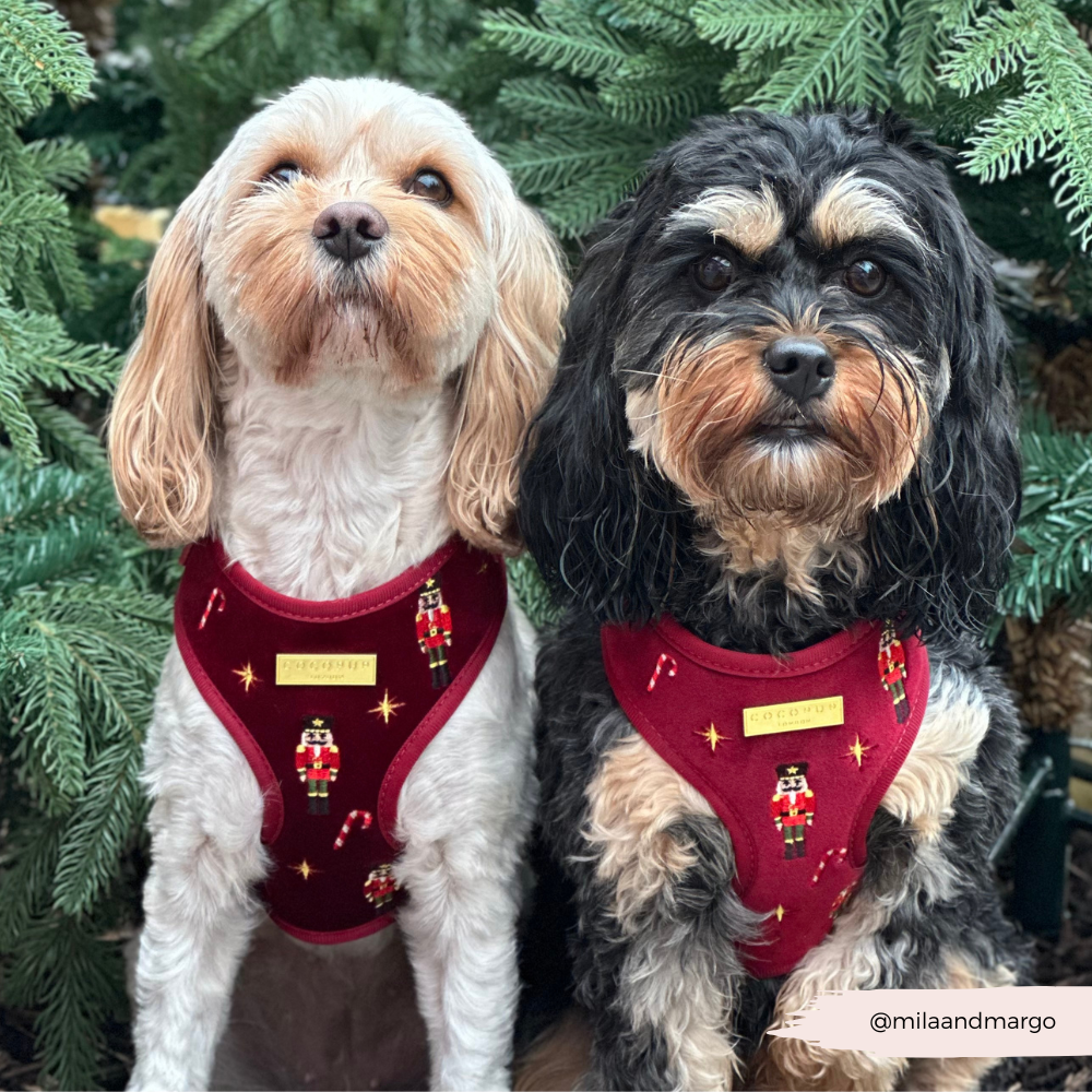 The Muttcracker Adjustable Neck HARNESS