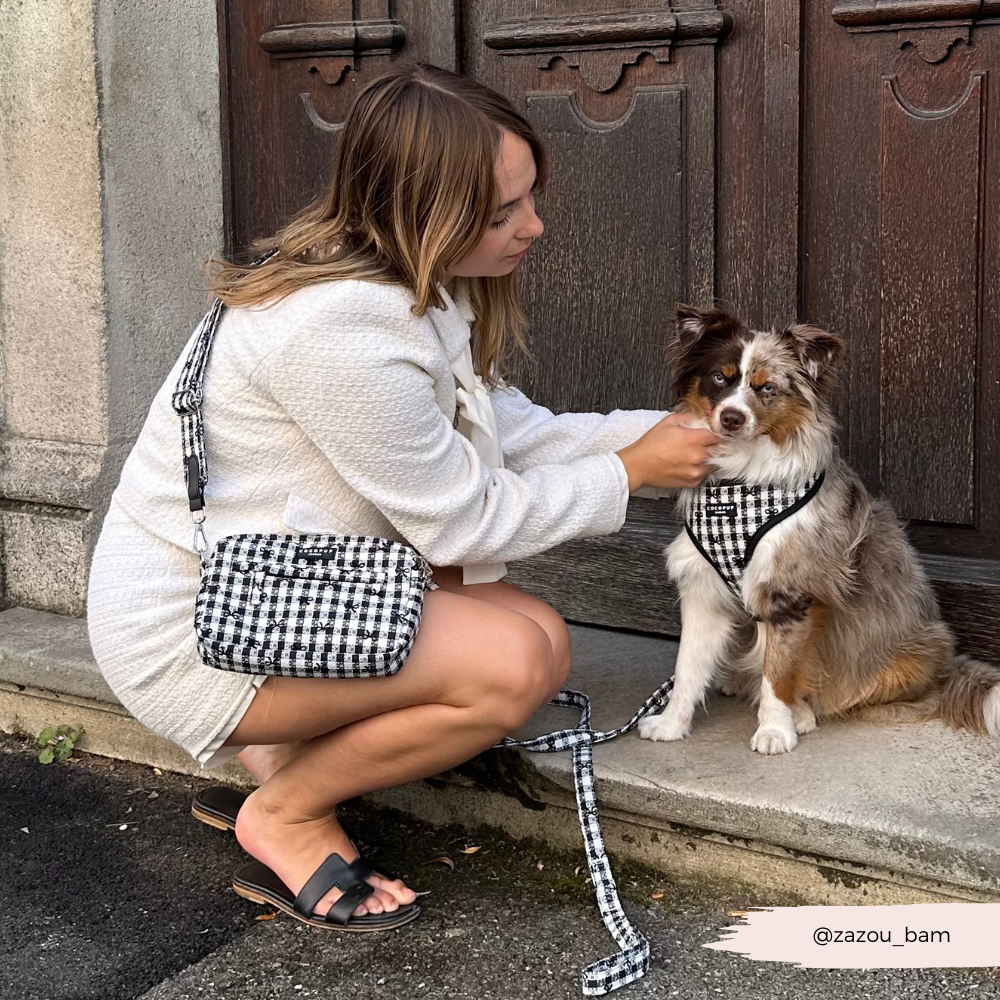 Pup in Paris Adjustable Neck HARNESS