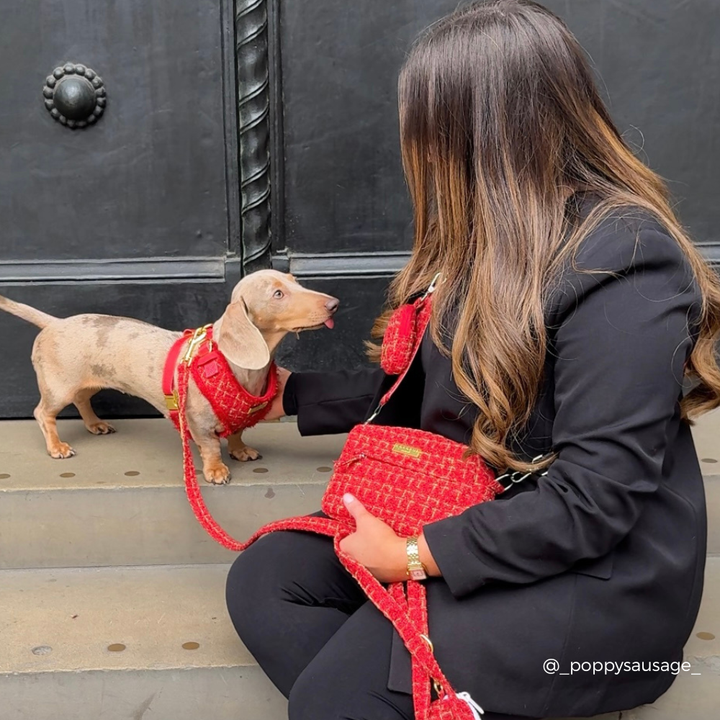 Red Textured Tweed Adjustable Neck HARNESS