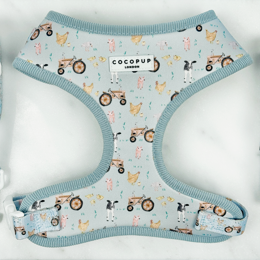Barnyard Buddies Adjustable Neck HARNESS