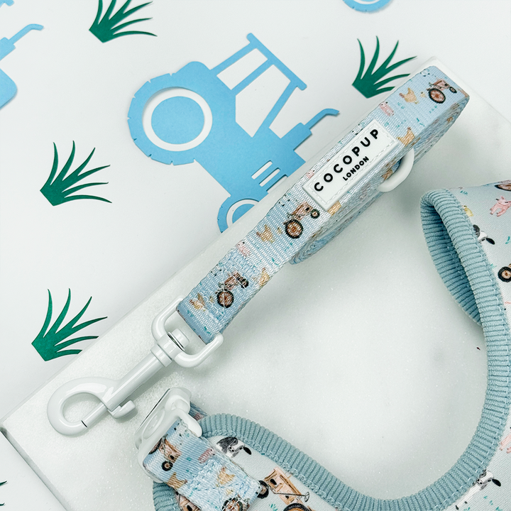 Barnyard Buddies Lead