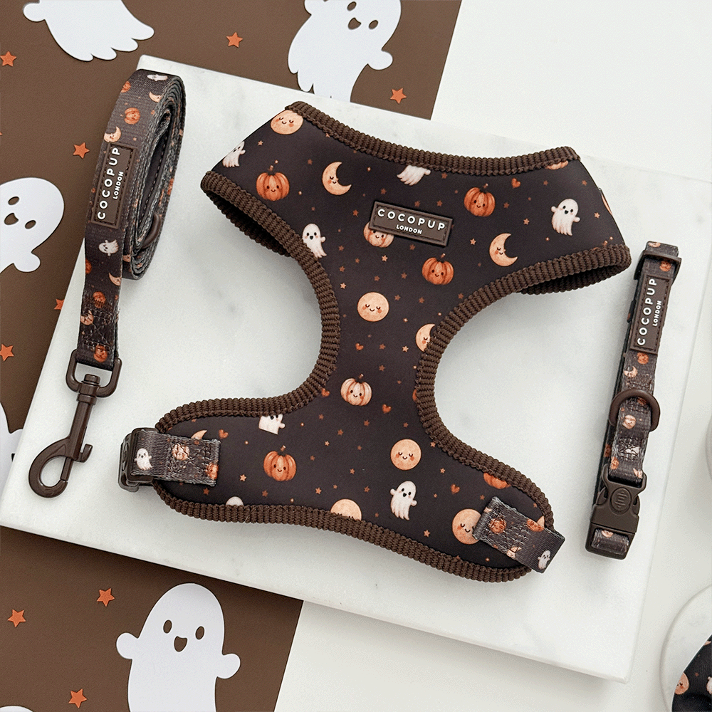 Brown dog harness, lead and collar with cute Halloween print featuring pumpkins, ghosts, and moons.
