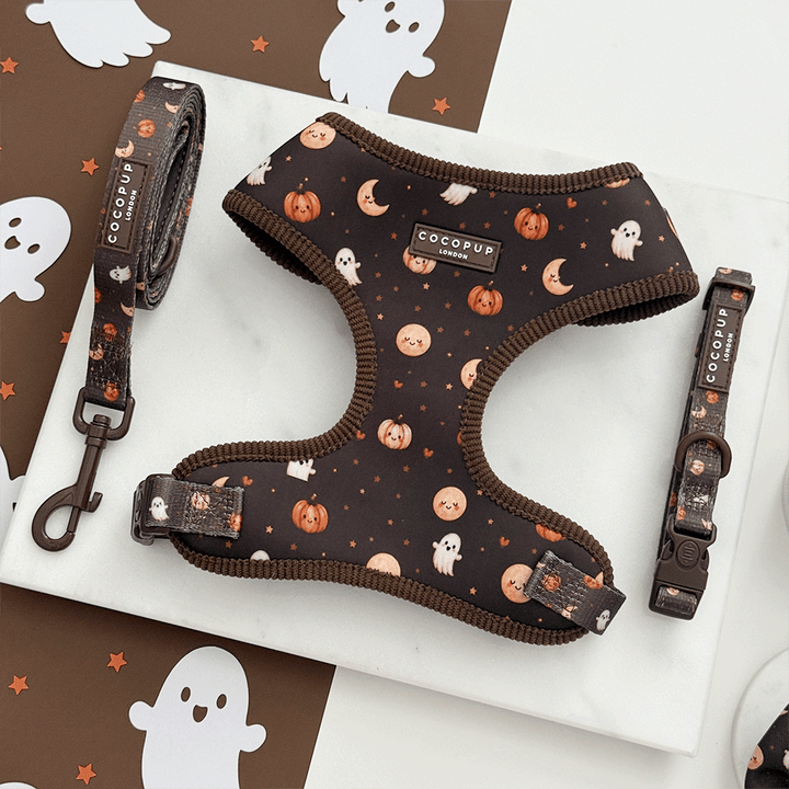 Brown dog harness, lead and collar with cute Halloween print featuring pumpkins, ghosts, and moons.