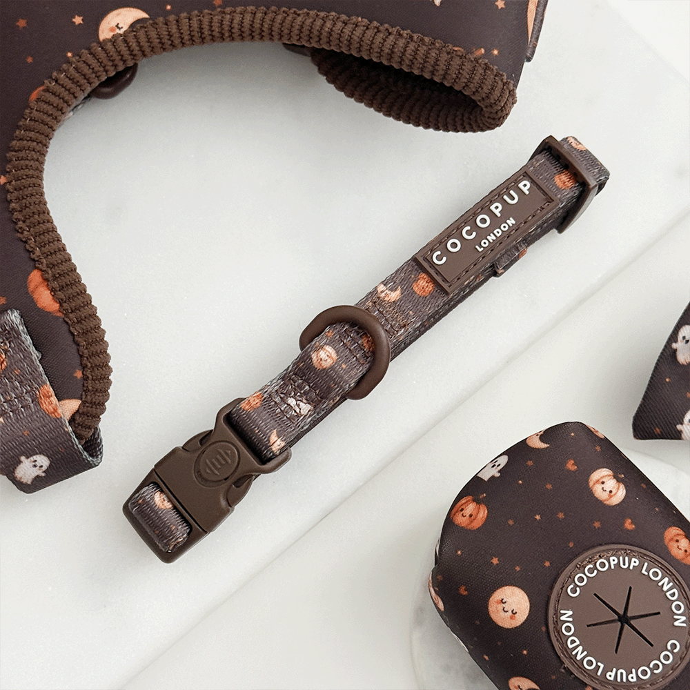 Brown dog collar with cute Halloween print featuring pumpkins, ghosts, and moons.