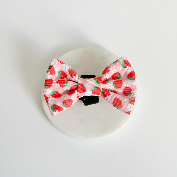 Pupberry Fields Bow Tie