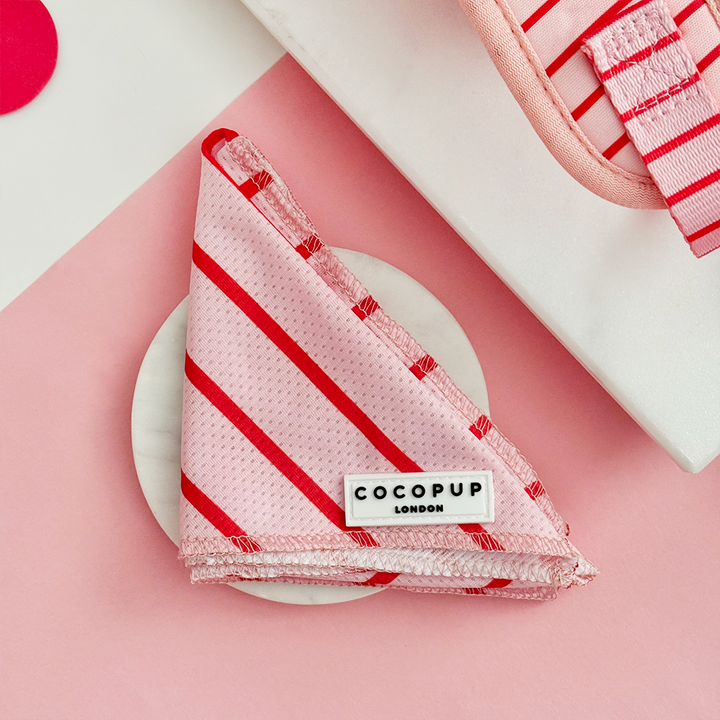 Candy Stripe - Bandana