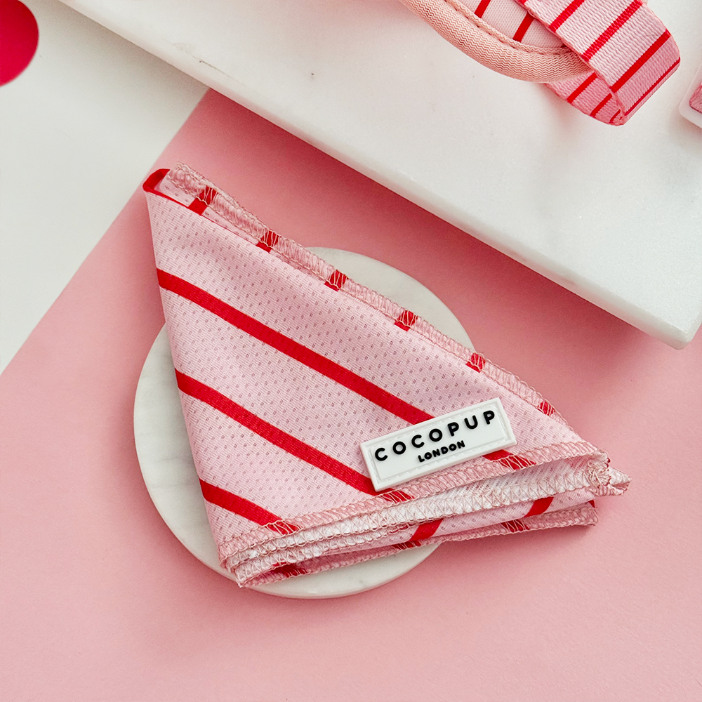 Candy Stripe - Bandana