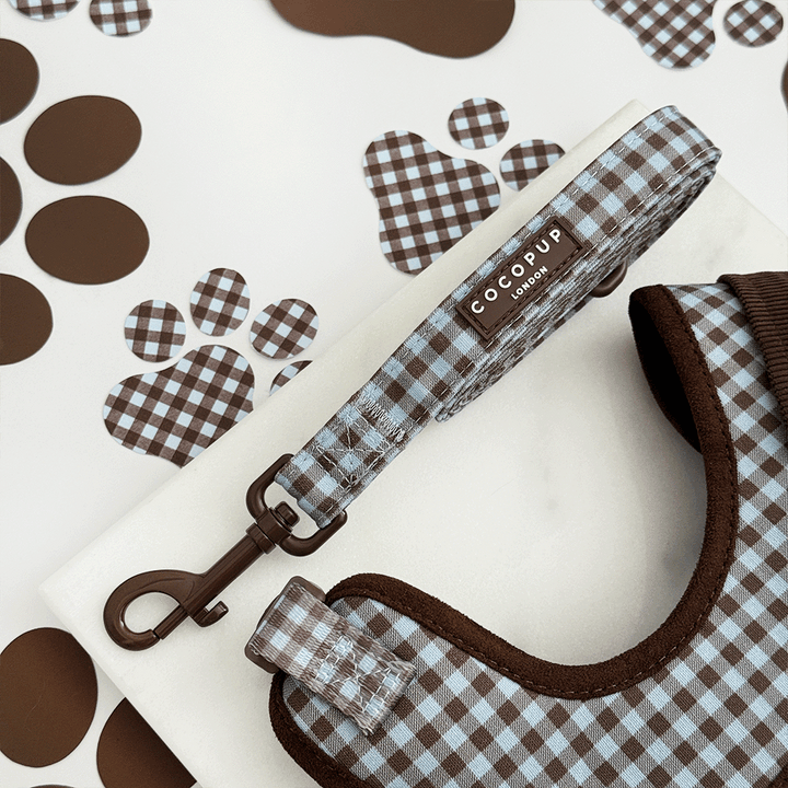 A brown and blue check print dog lead. With brown hardware.