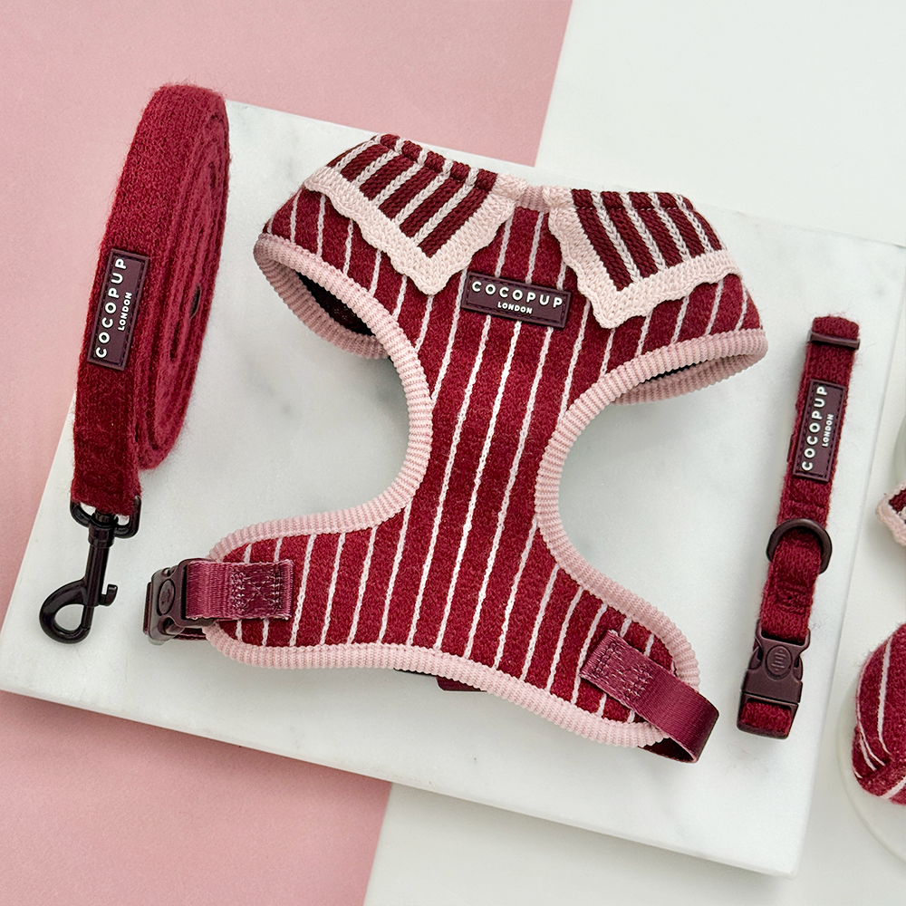 Knitted dog harness, collar and lead with burgundy and baby pink vertical stripes and a light pink scalloped edge.