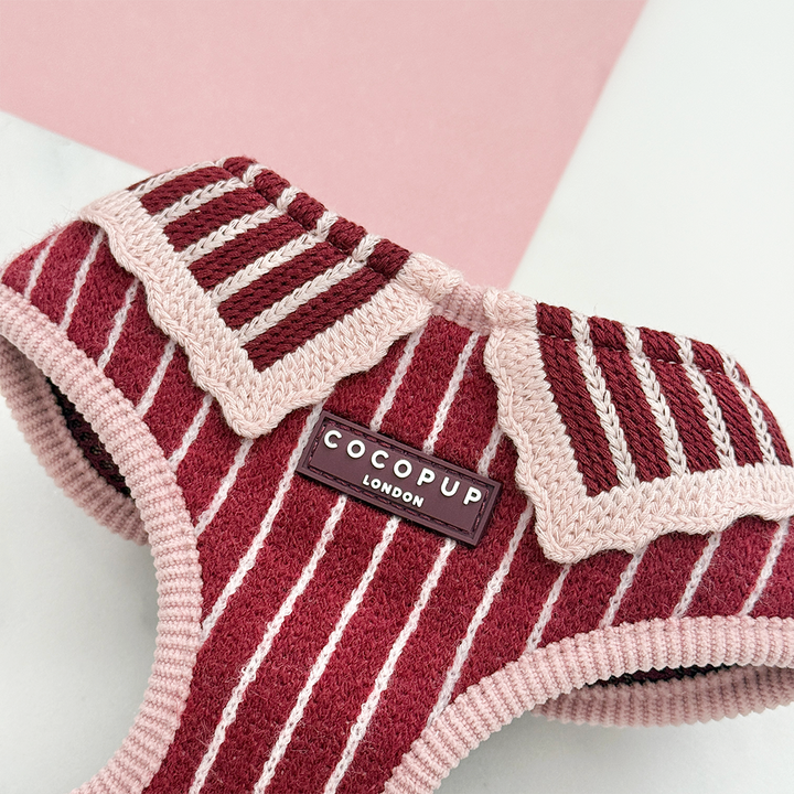 Knitted dog harness with burgundy and baby pink vertical stripes and a light pink scalloped collar.