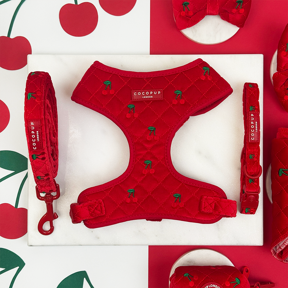 Cherry Velvet Crush Adjustable Neck Harness, Lead & Collar Bundle