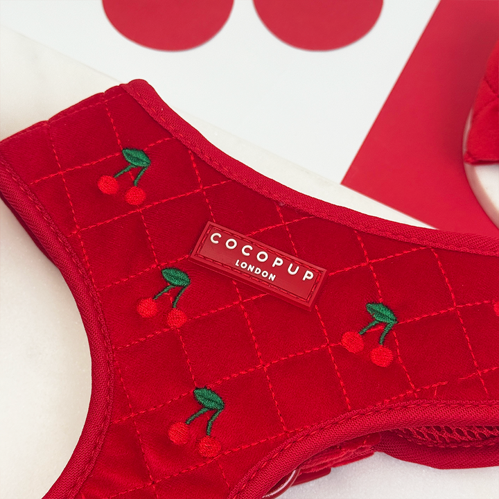Cherry Velvet Crush Adjustable Neck HARNESS