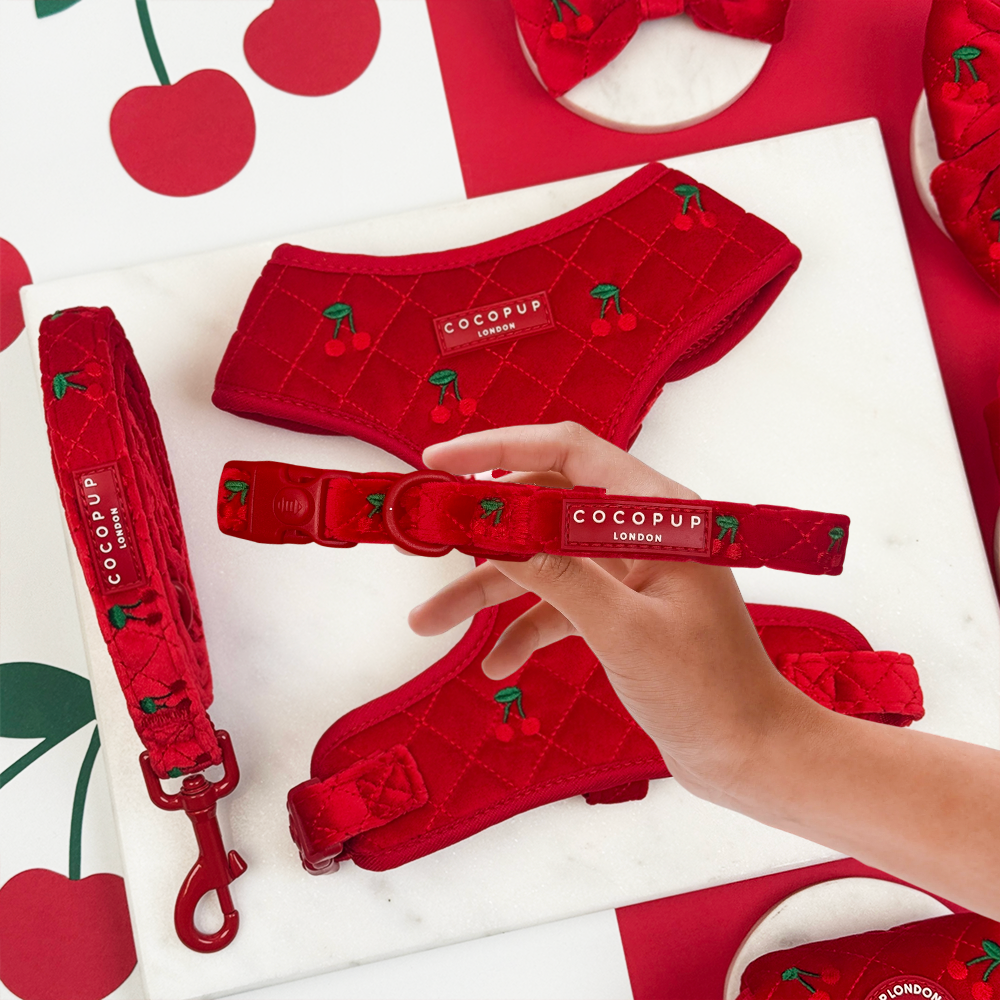 Cherry Velvet Crush COLLAR