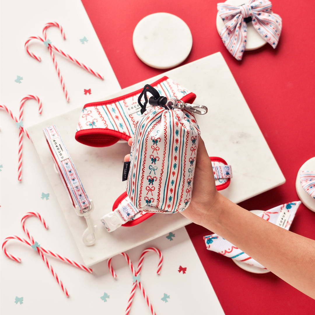 Christmas Mystery Drawstring Treat Pouch