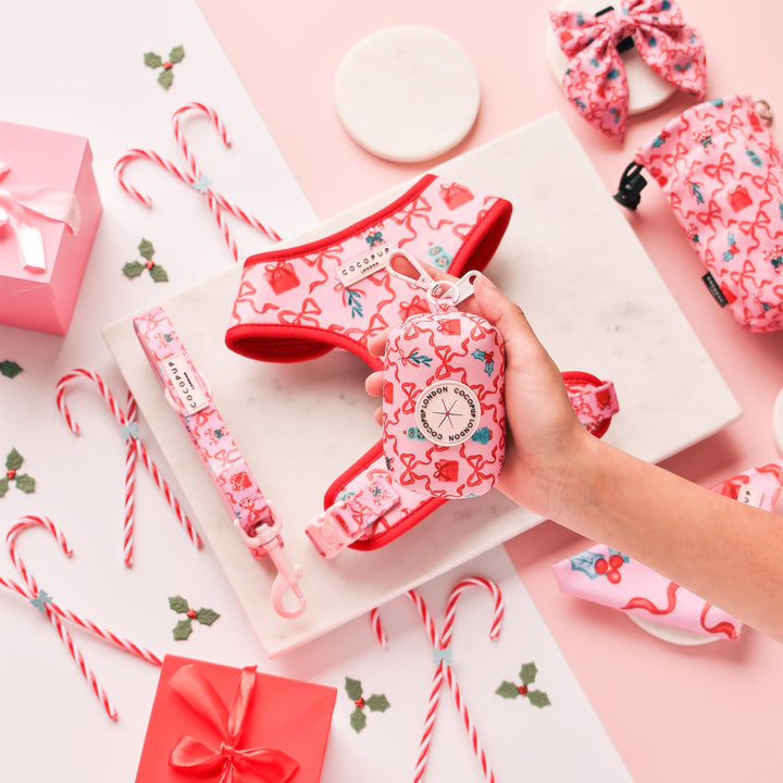 Christmas Mystery Poop Bag Holder