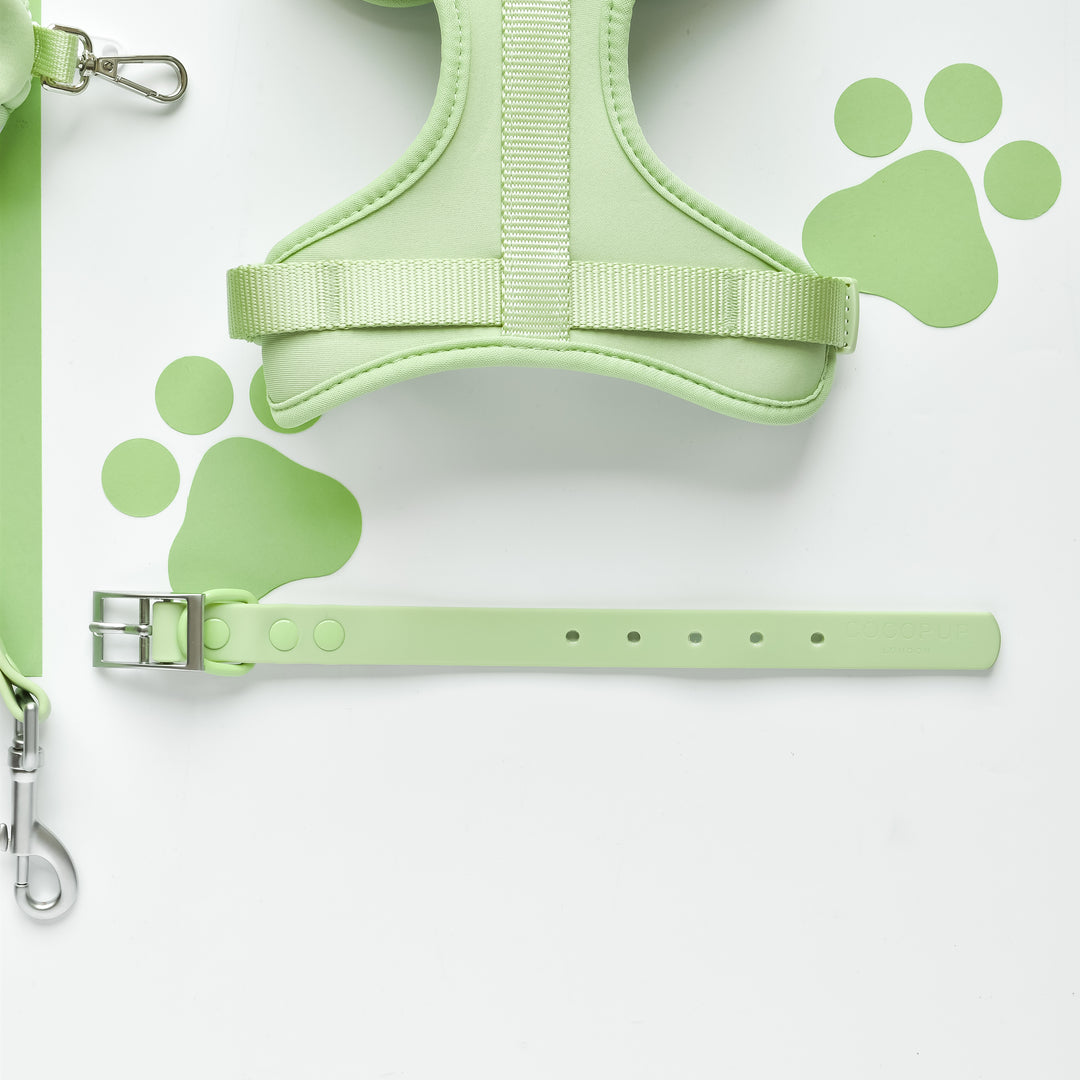 NAKD Adjustable Neck Harness, Lead, Collar & Poop Bag Holder Bundle - Matcha