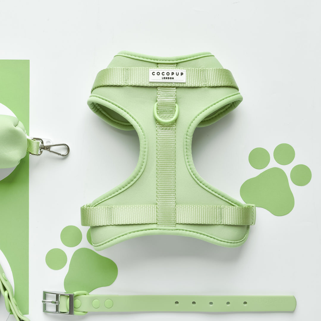 NAKD Adjustable Neck Harness, Lead, Collar & Poop Bag Holder Bundle - Matcha