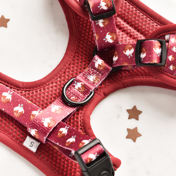 Woofmas Pudding Adjustable Neck Harness, Lead & Collar Bundle