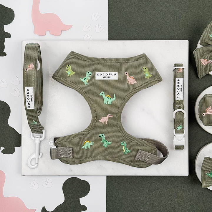 Green corduroy material Dog Lead, Harness & Collar with embroidered dinosaurs. 