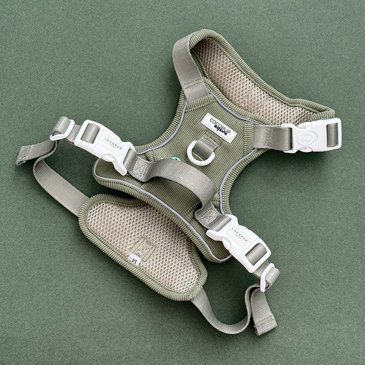 Dog harness in green corduroy material, with embroidered dinosaur design.