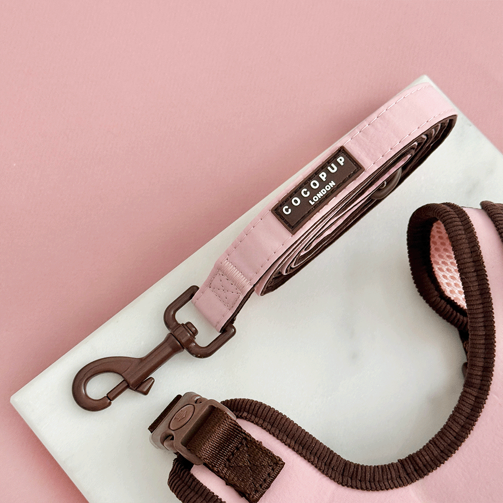 Farmhouse Lead - Dusty Pink