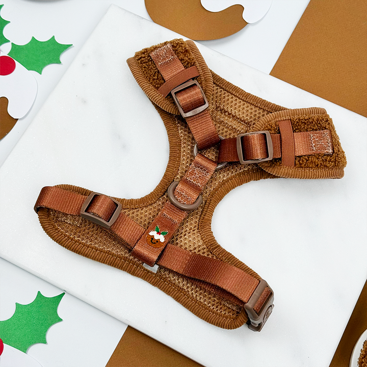 Festive Pudding Pup Adjustable Neck Harness, Lead & Collar Bundle