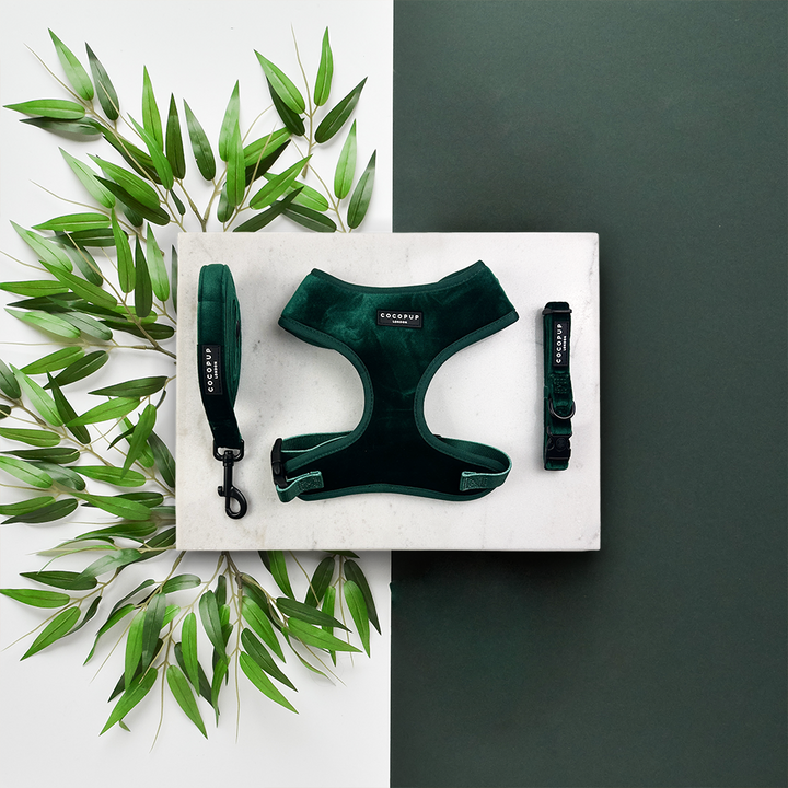 Luxe Velvet Adjustable Neck Harness, Lead & Collar Bundle - Forest Green