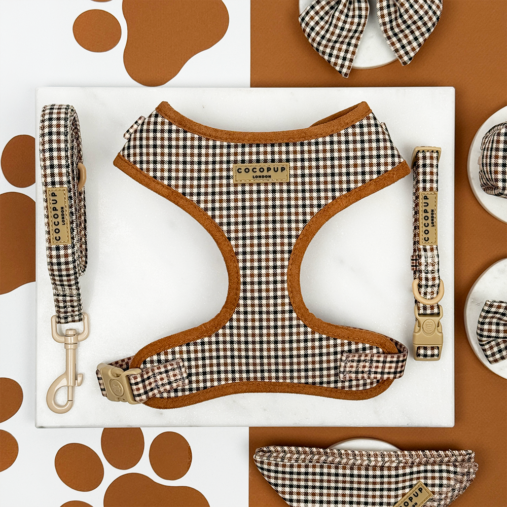 Heritage Check Adjustable Neck Harness, Lead & Collar Bundle