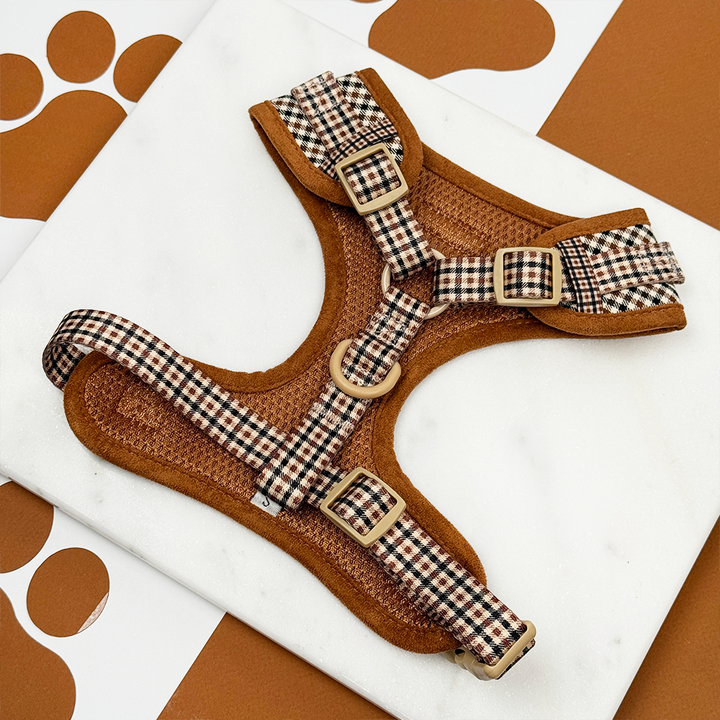 Heritage Check Adjustable Neck Harness, Lead & Collar Bundle