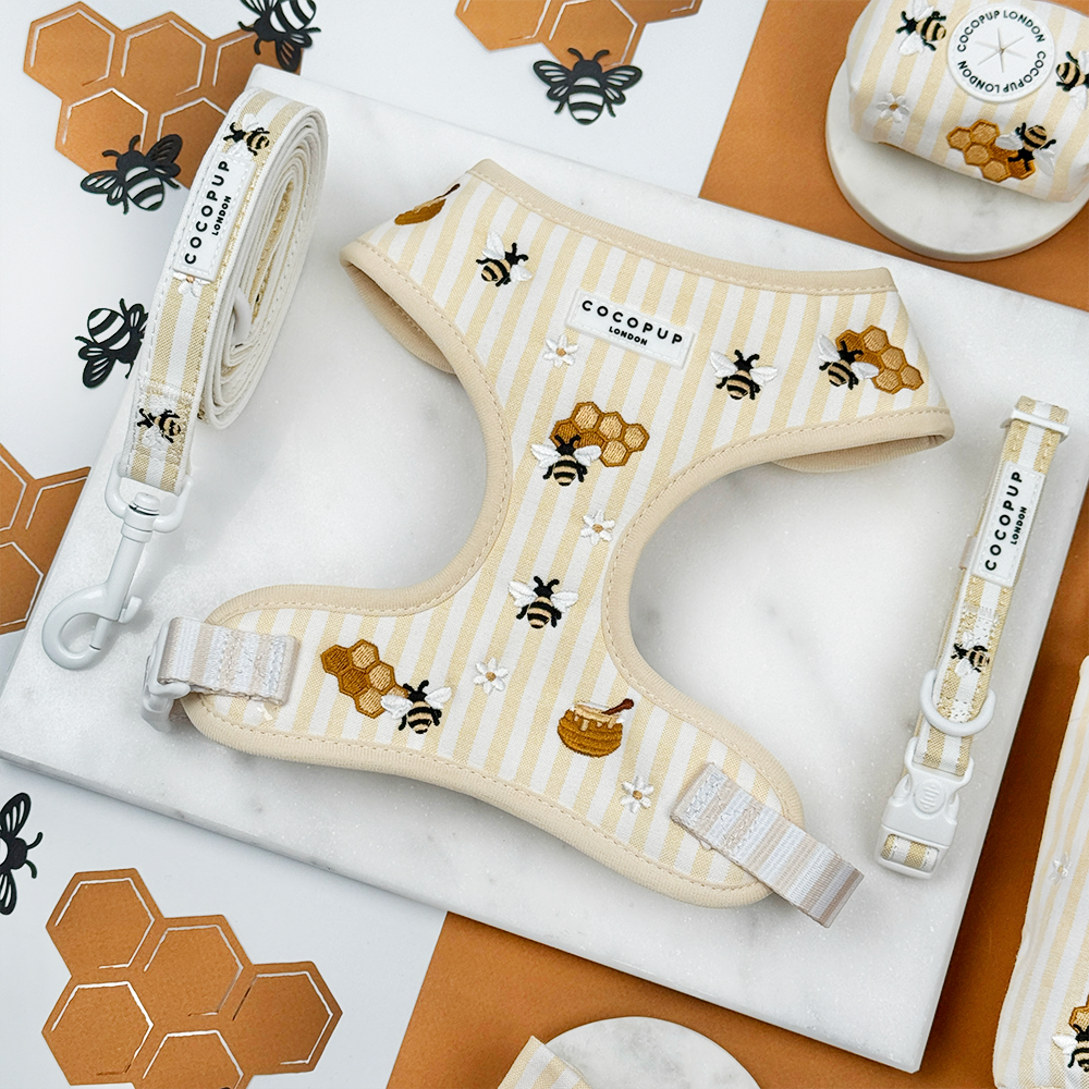 Pale yellow and white striped Dog Harness, Lead & Collar, with bee and honeycomb embroidered decals. 