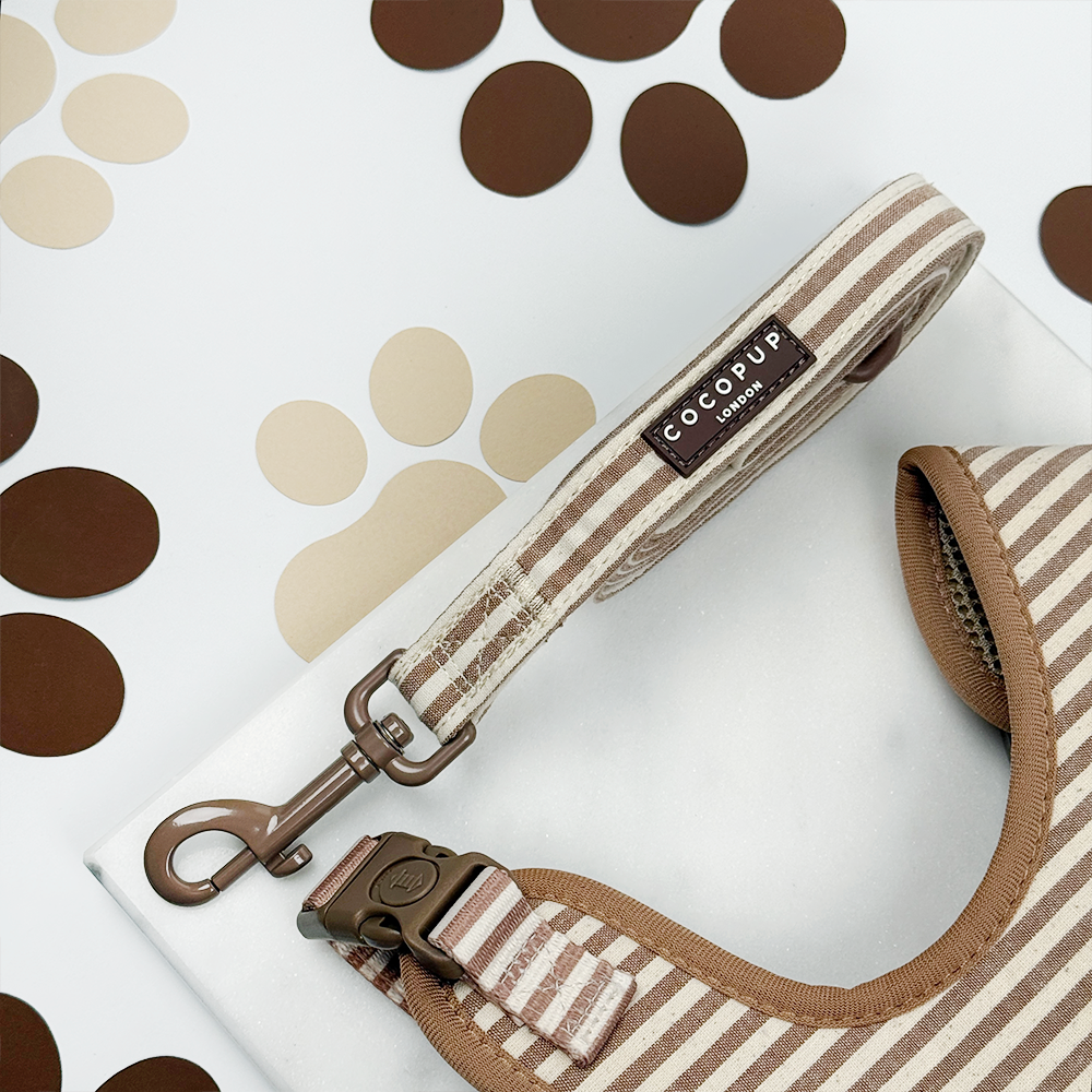 Brown and beige striped dog lead with Cocopup logo.