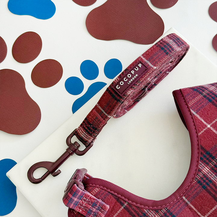 Mulberry Plaid Adjustable Neck Harness, Lead & Collar Bundle