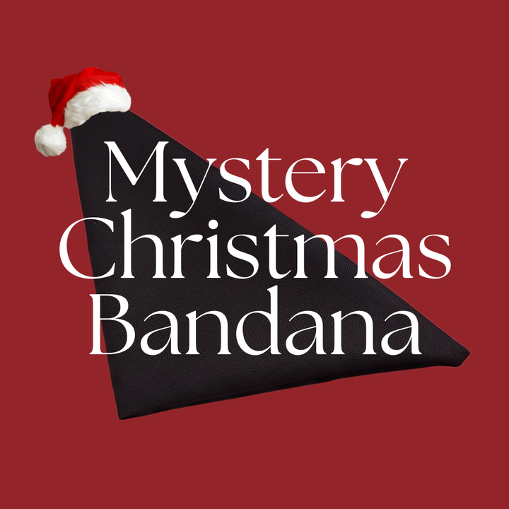 Christmas Mystery Bandana