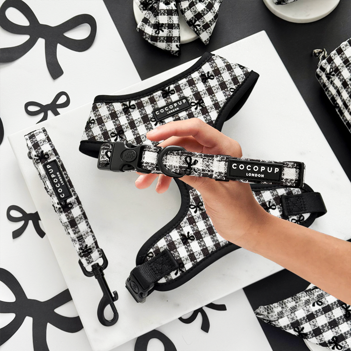 Pup in Paris Adjustable Neck Harness, Lead & Collar Bundle