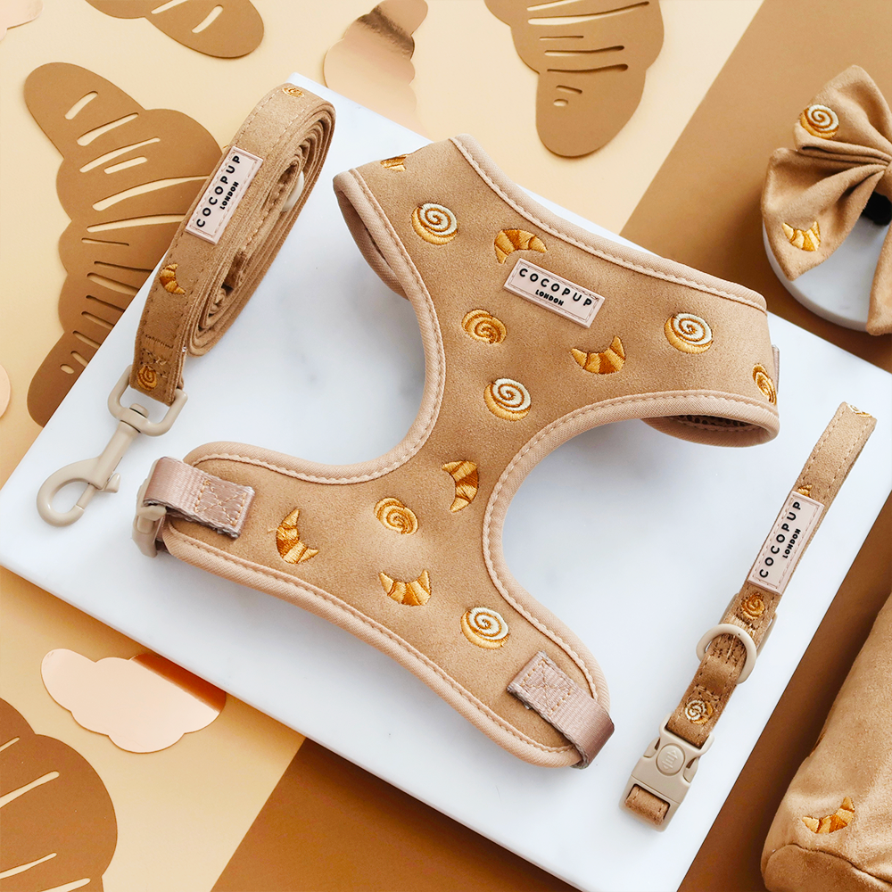 Pawtisserie Adjustable Neck Harness, Lead & Collar Bundle