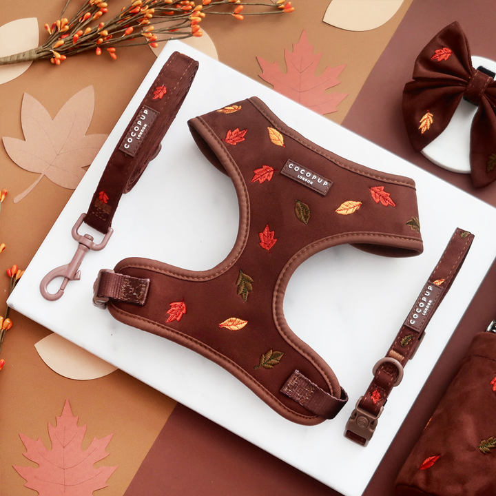 Pawtumn Leaves Adjustable Neck Harness, Lead & Collar Bundle