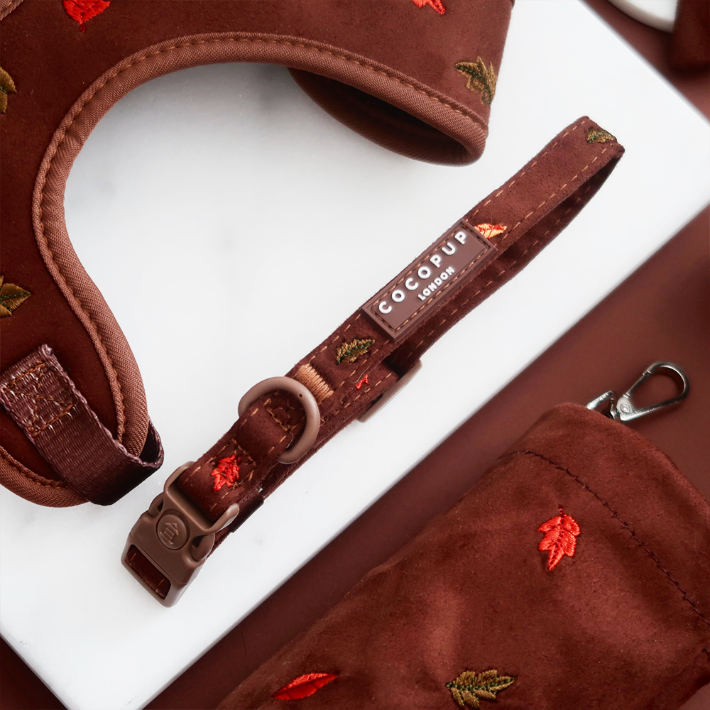 Pawtumn Leaves Adjustable Neck Harness, Lead & Collar Bundle