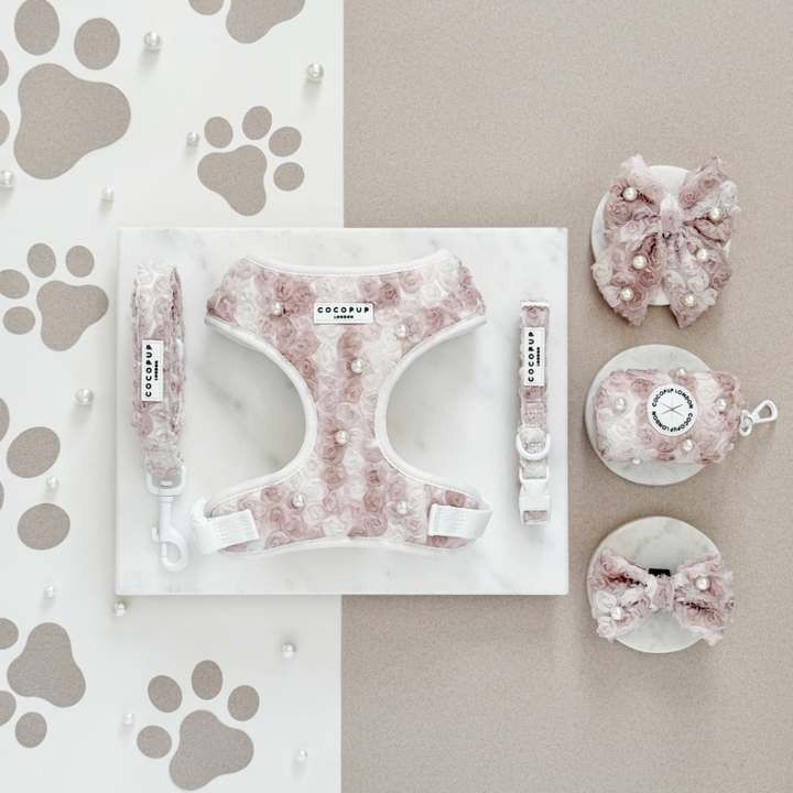 Pearly Pup Adjustable Neck Harness, Lead & Collar Bundle
