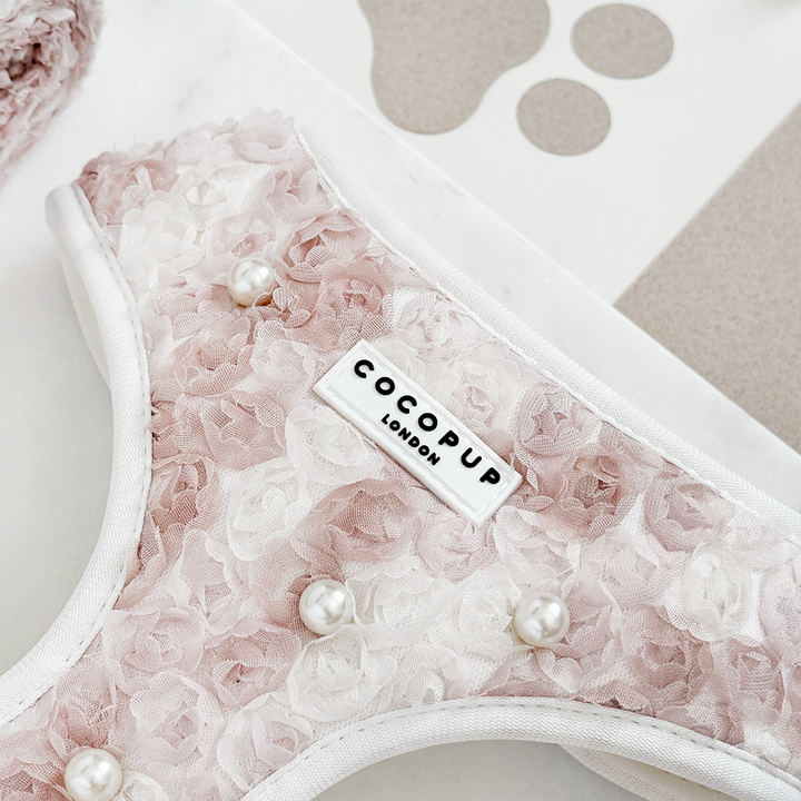 Pearly Pup Adjustable Neck Harness, Lead & Collar Bundle