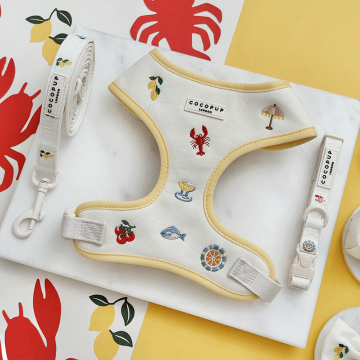 White linen fabric Dog Harness, Collar & Lead with summer embroidered embellishments.