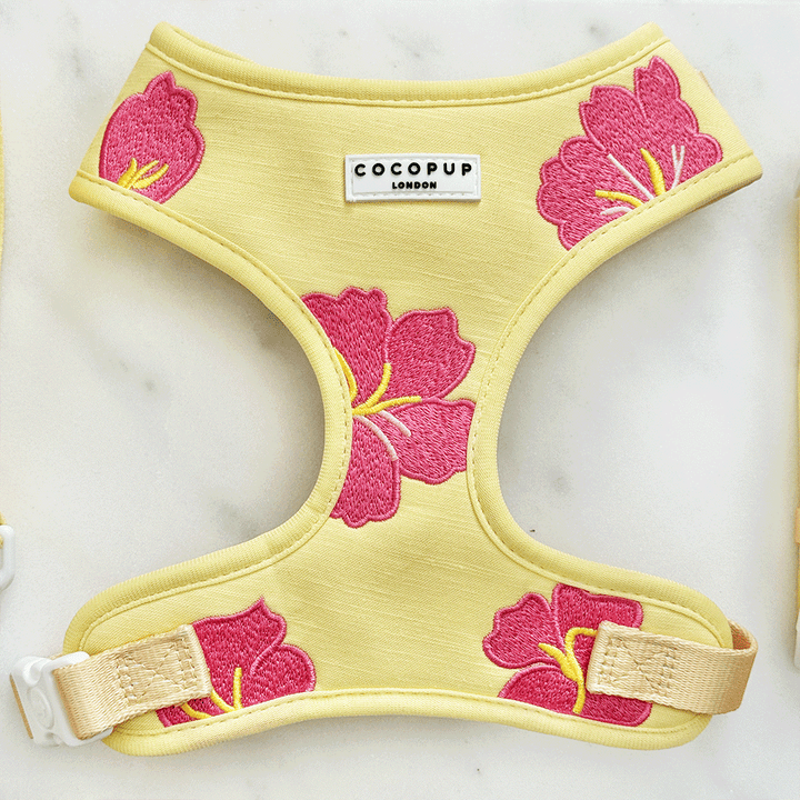 Pink Hibiscus Adjustable Neck HARNESS