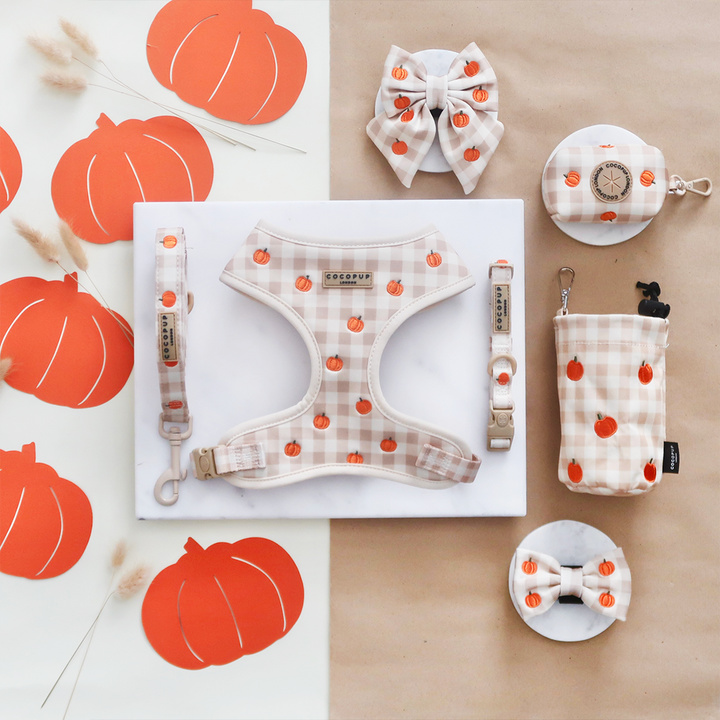 Pumpkin Patch COLLAR