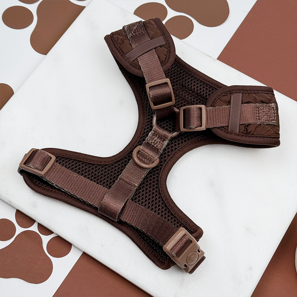 Espresso Quilted Adjustable Neck Harness, Lead & Collar Bundle