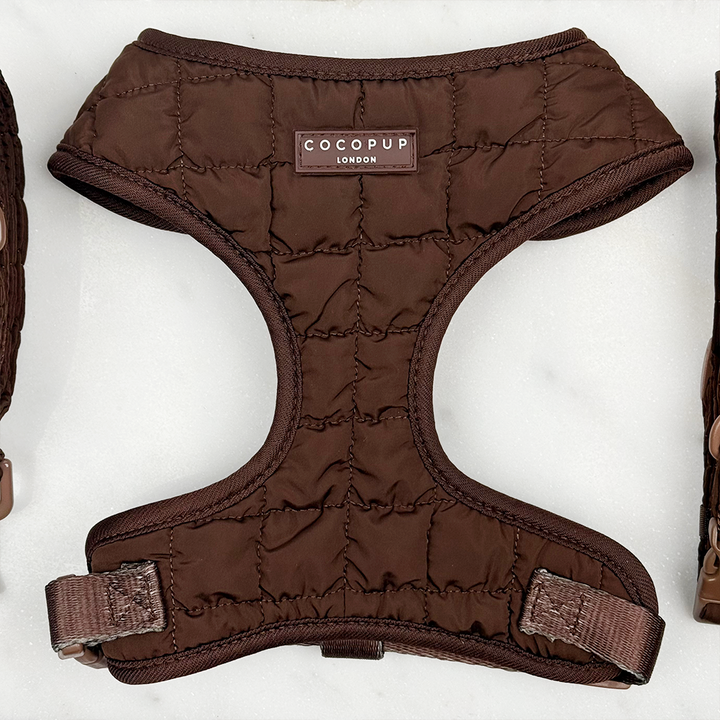 Espresso Quilted Adjustable Neck Harness, Lead & Collar Bundle