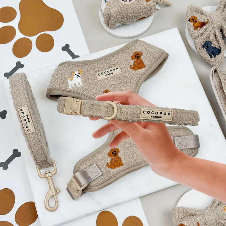 Ralph & Friends Mocha Teddy Adjustable Neck Harness, Lead & Collar Bundle